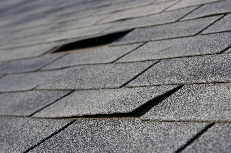 Damaged Asphalt Shingles
